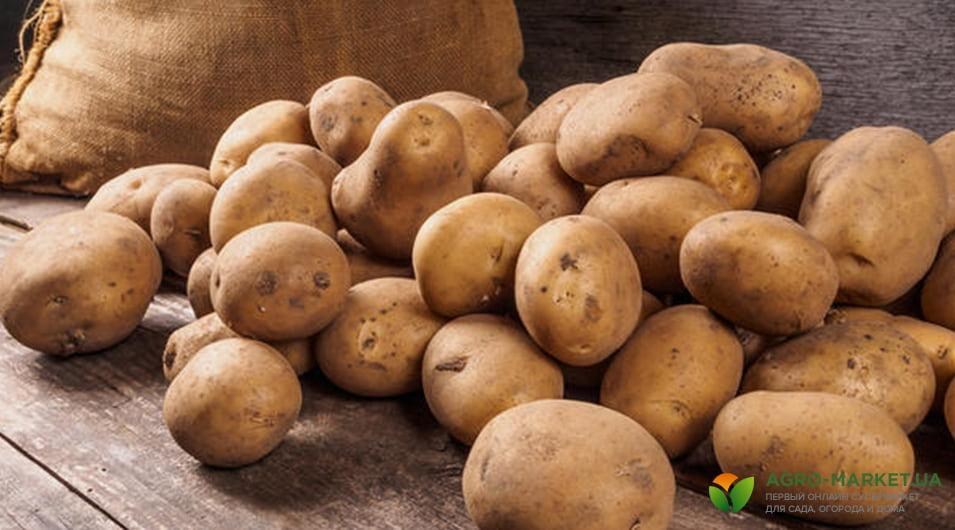 winter3-min.jpg winter3-min.jpg