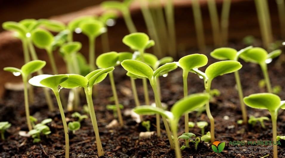 winter6-min.jpg winter6-min.jpg