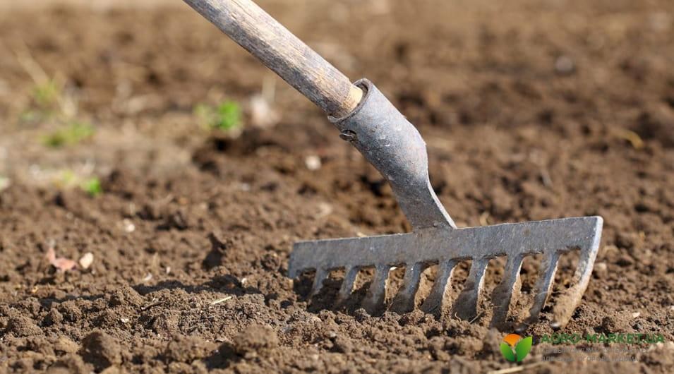 rihlenie-min.jpg rihlenie-min.jpg