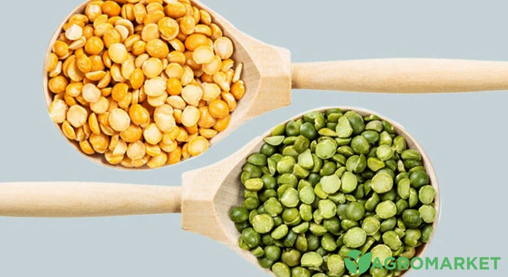 gorogh6-min.jpg gorogh6-min.jpg