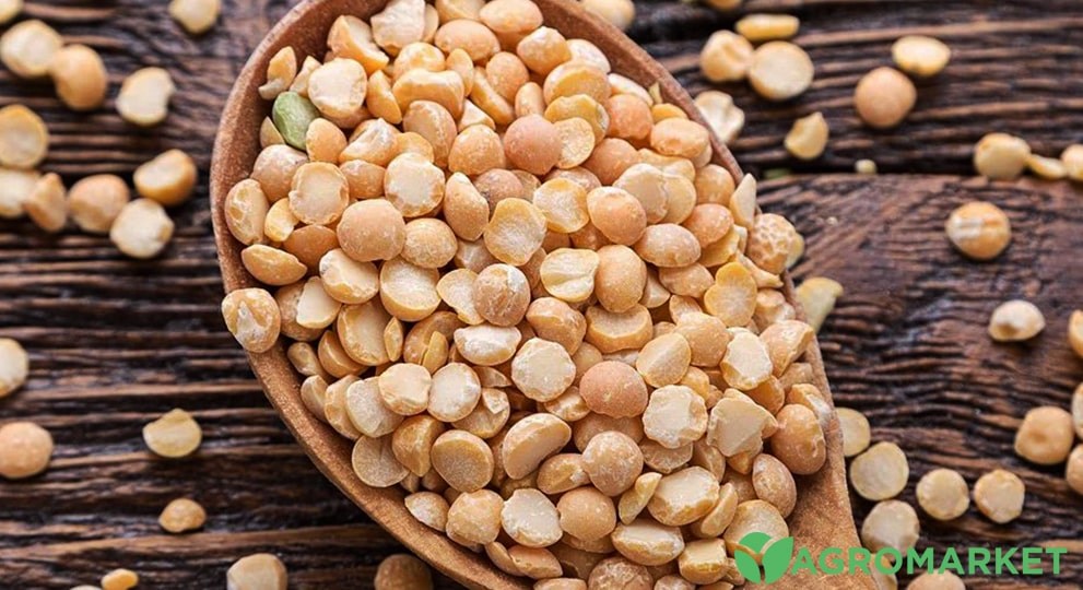 gorogh5-min.jpg gorogh5-min.jpg