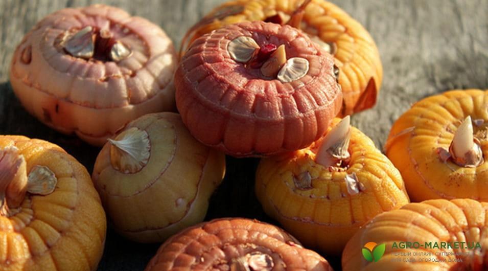 winter2-min.jpg winter2-min.jpg