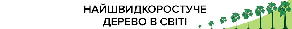 п1-min.png