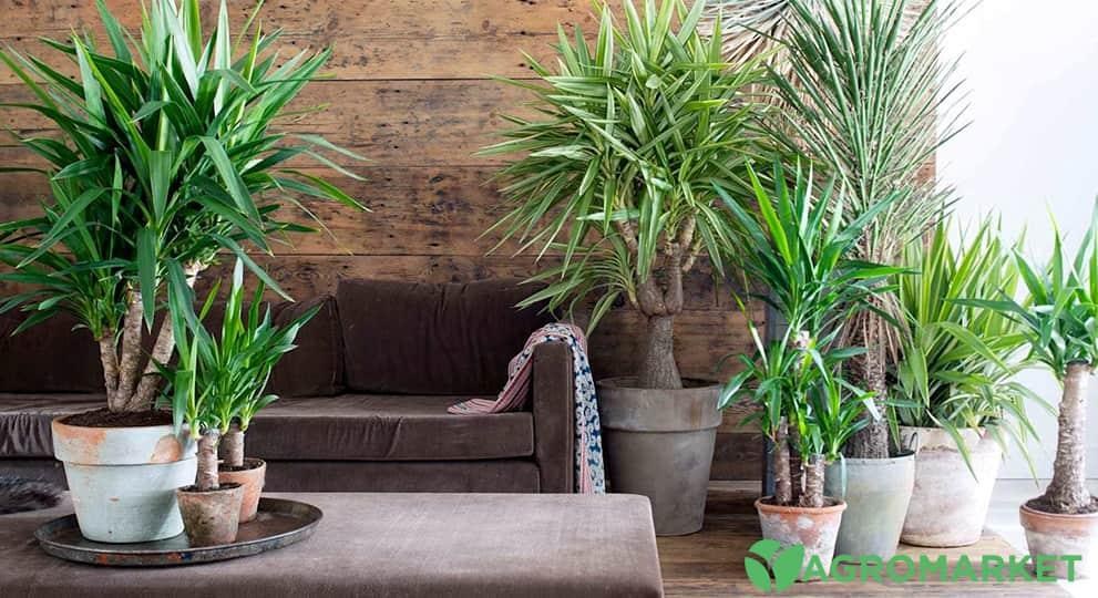 ykka4-min.jpg ykka4-min.jpg