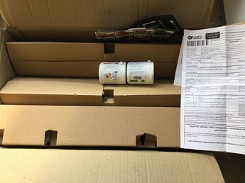 Плющ пестролистный "Goldchild" контейнер Р9 - фото 2