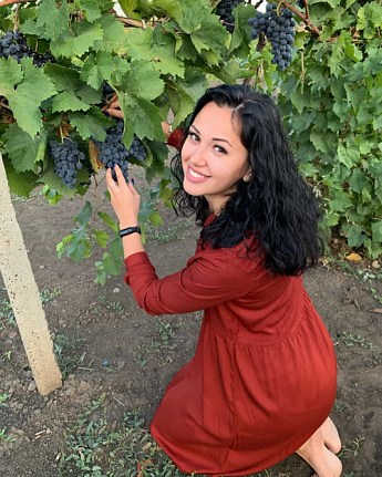 Виноград "Молдова" (поздний срок созревания, хорошо хранится до 180 дней и транспортируется) - фото 7