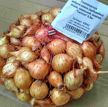 Голландский лук-севок 0.5кг (арбажейка) поздний, желтый "Сеттон" - фото 4