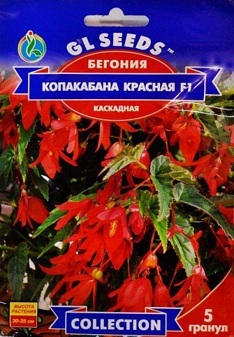 Бегония каскадная "Копакабана красная F1" ТМ "GL SEEDS" 5шт