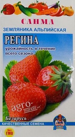 Земляника "Регина" ТМ "САНМА" 50-60шт