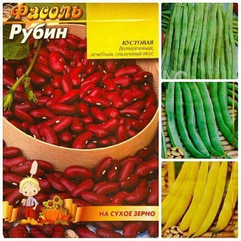Комплект насіння квасолі "Фасольний бум" 5уп