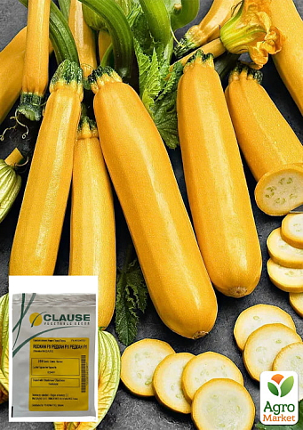 Кабачок "Мері Голд F1" ТМ "Clause" 500шт