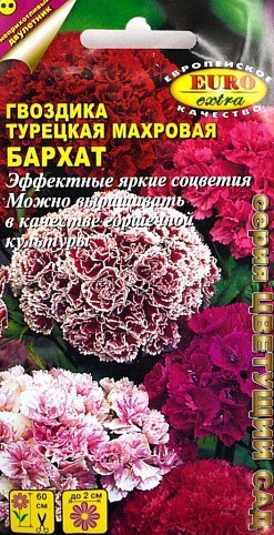 Гвоздика турецкая махровая "Бархат" ТМ "АЭЛИТА" 15 шт