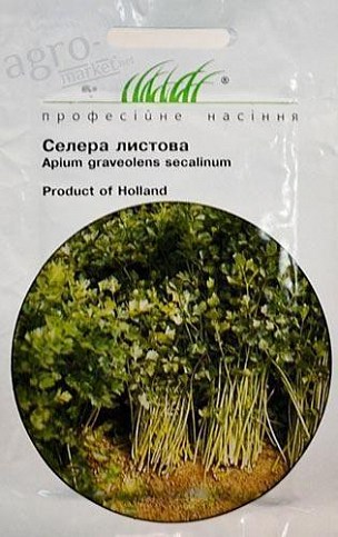 Сельдерей листовой  ТМ "Hem Zaden" 0.5г