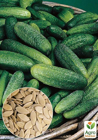 На вагу Огірок "Малюк" ТМ "Весна" ціна за 2г