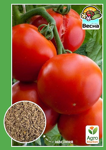 Томат "Санька" ТМ "Весна" 0.2г