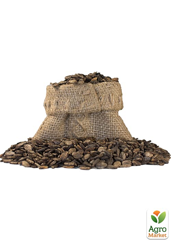 На развес Арбуз "Княжич" ТМ "Весна" цена за 6г - фото 2