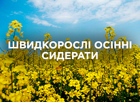 Найшвидші сидерати для осені: ефективні сорти та поради з посадки | Agro-market