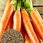 На развес Морковь "Долянка" ТМ "Весна" цена за 10г