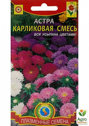 Астра "Карликовая" смесь ТМ "Плазменные семена"0,2г