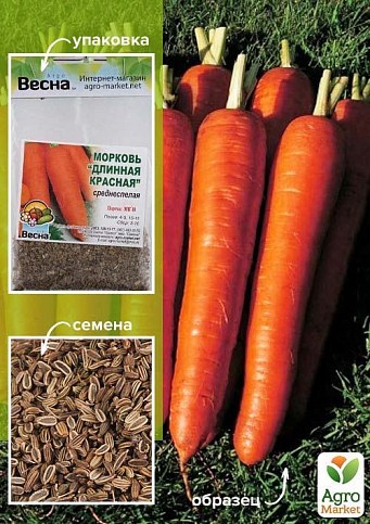 Морква "Довга червона" (Зипер) ТМ "Весна" 5г