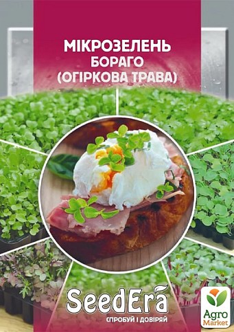 Микрозелень "Огуречная трава" ТМ "SeedEra" 10г
