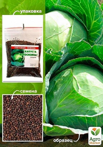 Капуста "Білосніжка" ТМ "Весна" 100г