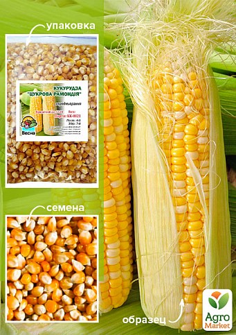 Кукуруза "Сахарная Рамондия" ТМ "Весна" 500г