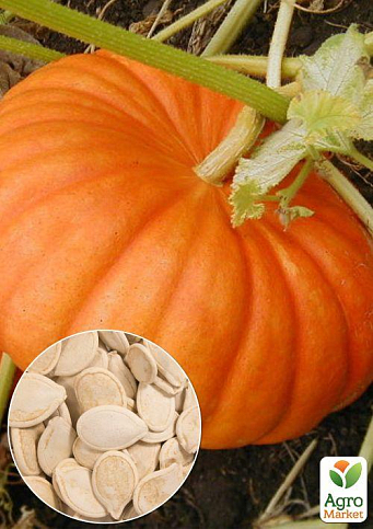 На вагу Гарбуз "Народний" ТМ "Весна" ціна за 10г