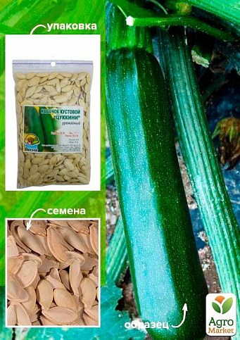 Кабачок "Цуккини" ТМ "Весна" 100г