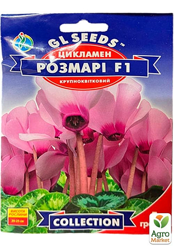 Цикламен "Розмарі F1" ТМ "GL Seeds" 5шт