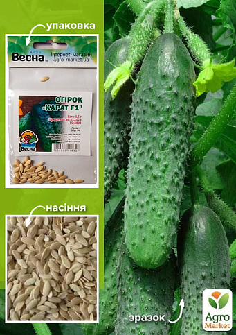 Огірок "Карат F1" (Зипер) ТМ "Весна" 0.5г