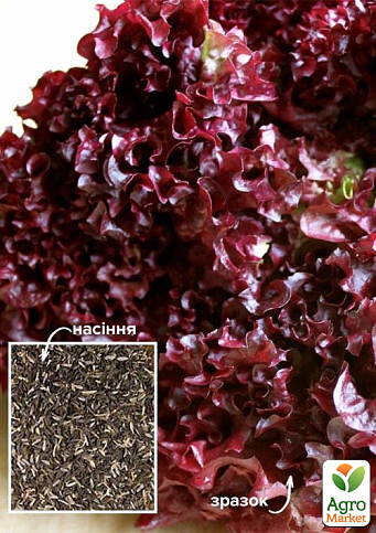 На вагу Салат "Еврідіка" ТМ "Весна" ціна за 5г