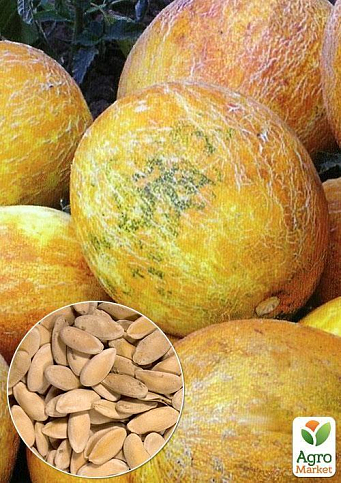 На развес Дыня "Дидона" ТМ "Весна" цена за 6г