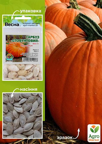 Гарбуз "Стофунтовий" (Зипер) ТМ "Весна" 5г
