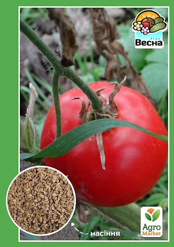 Томат "Ляна" ТМ "Весна" 0.2г