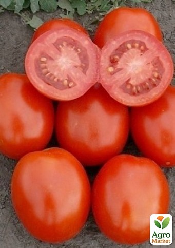 Томат детерминантный "1807 F1" ТМ "Lark Seeds" 5000шт