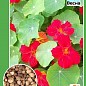 Настурция вьющаяся ТМ "Весна" 0.5г