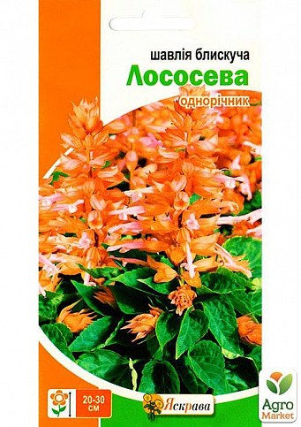 Сальвия лососевая ТМ "Яскрава" 0.2г