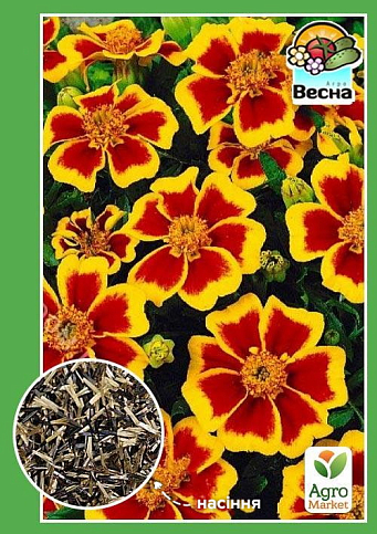 Чорнобривці "Бешкетна Марієтта" ТМ "Весна" 0.3г