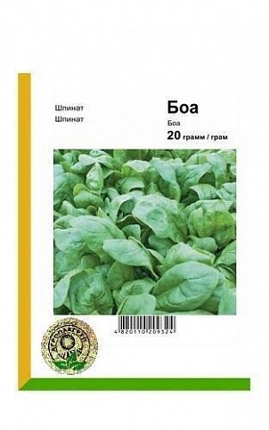 Шпинат "Боа F1" ТМ "Nunhems" 20г
