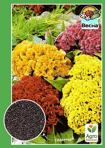 Целозия "Гребенчатая" ТМ "Весна" 0.3г