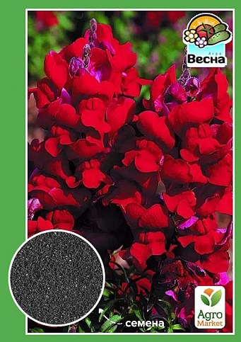 Львиный зев красный ТМ "Весна" 0.1г