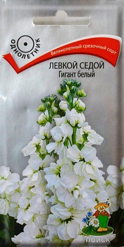 Левкой седой "Гигант белый" ТМ "Поиск" 0.1г