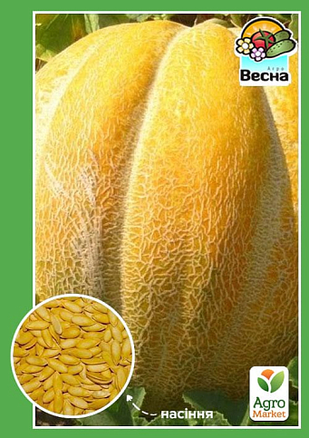 Дыня "Эфиопка" ТМ "Весна"  1,5г