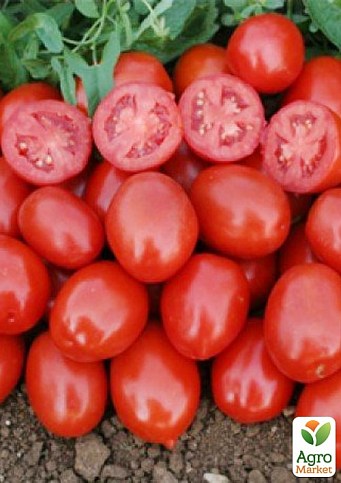 Томат детерминантный "9960 F1" ТМ "Lark Seeds" 5000шт