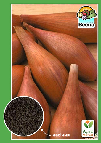 Лук "Любчик" ТМ "Весна" 1г