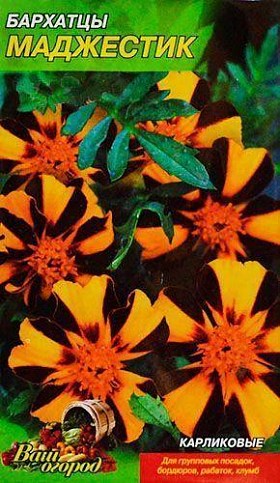 Чорнобривці "Маджестик" ТМ "Весна" 0.3г - фото 2