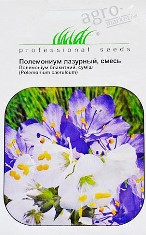 Полемоніум "Лазурний" ТМ "Hem Zaden" 0.1г