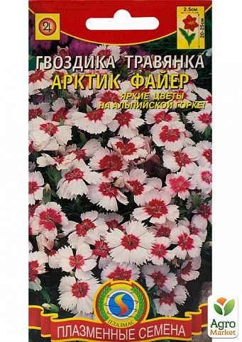 Гвоздика травянка "Арктик файр" ТМ "Плазменные семена"0,2г