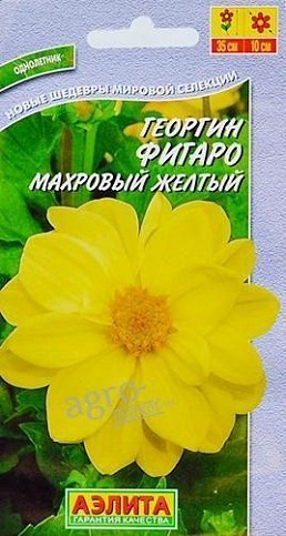 Жоржина махрова "Фігаро жовтий" ТМ "АЕЛІТА" 7шт
